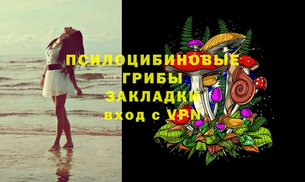 дурь Алексеевка