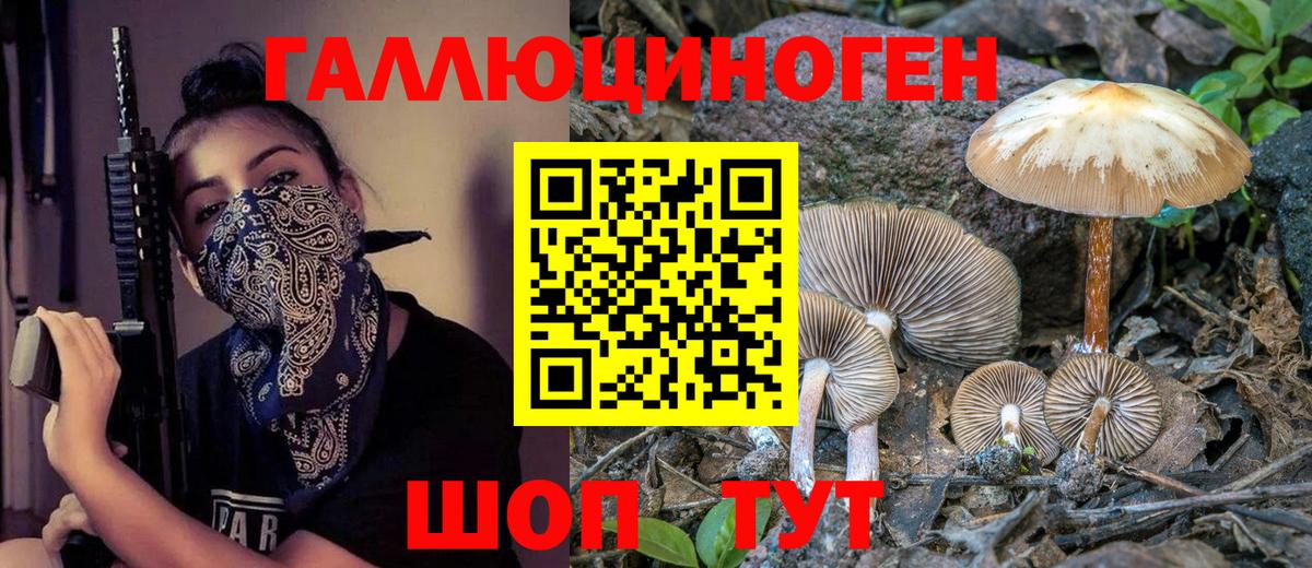 Галлюциногенные грибы Cubensis Сарапул