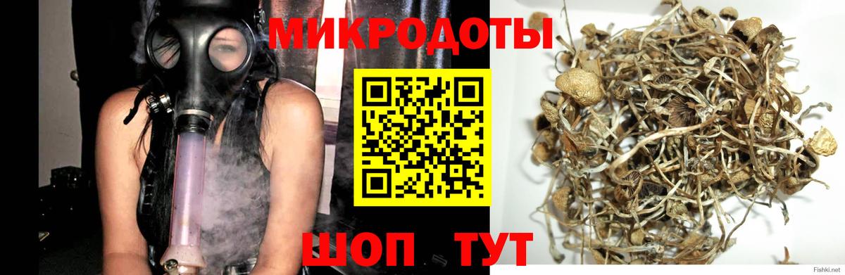 Сарапул  Псилоцибиновые грибы мицелий  цена наркотик  Вход с VPN 